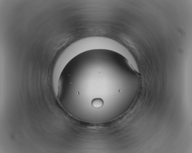 X0000113250362200910081324