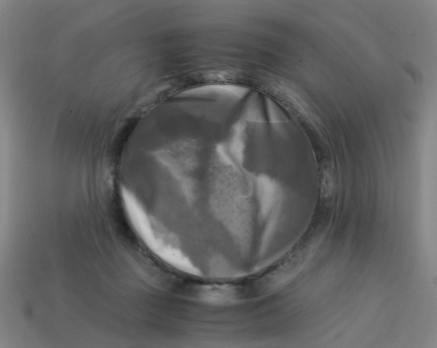 X0000113250363200910081324