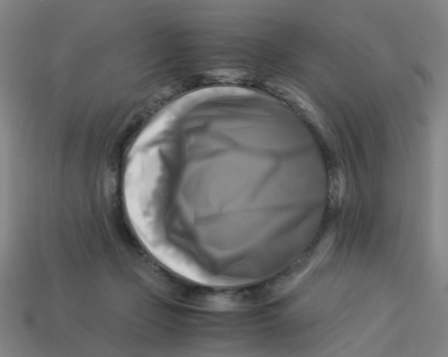 X0000113250365200910081324