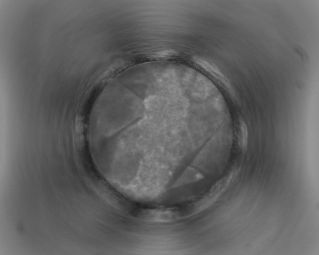 X0000113250366200910081324