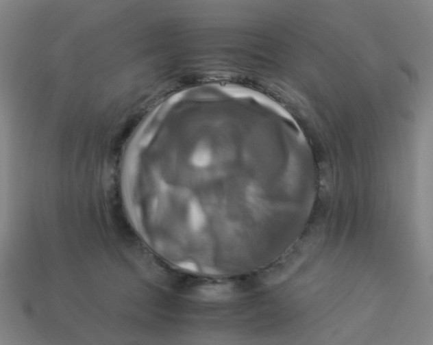 X0000113250369200910081324