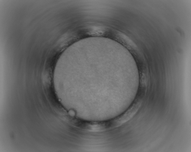 X0000113250370200910081324