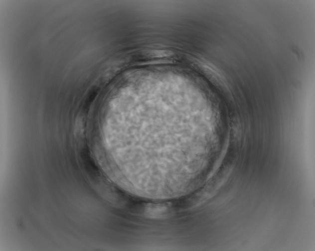 X0000113250373200910081324