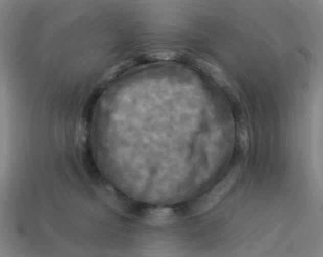 X0000113250374200910081324