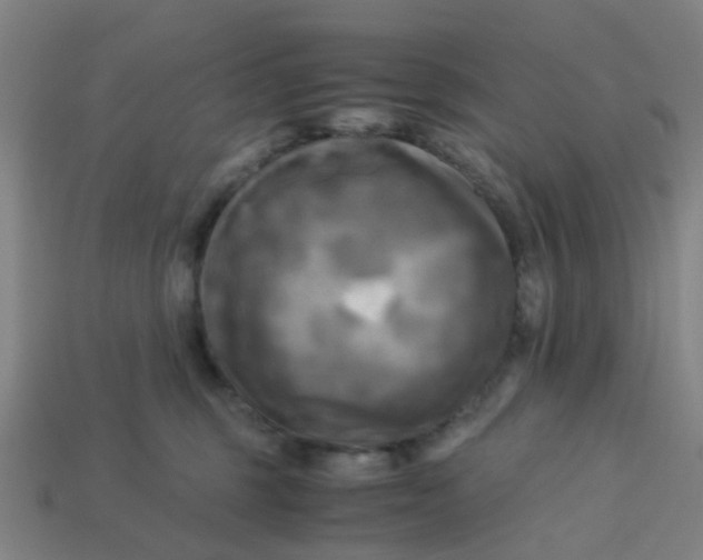 X0000113250375200910081324