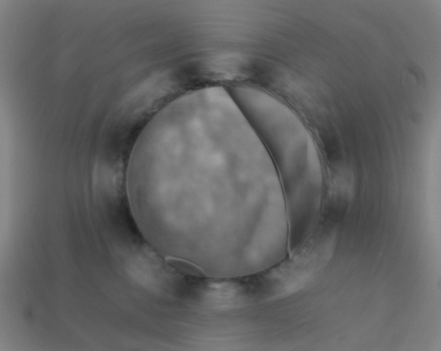 X0000113250376200910081324