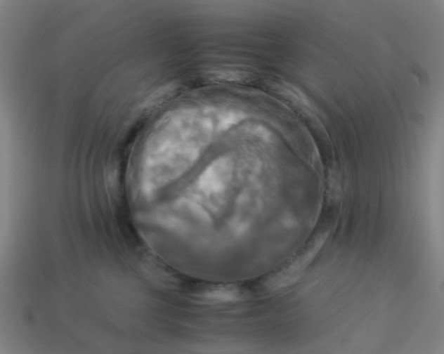 X0000113250377200910081324