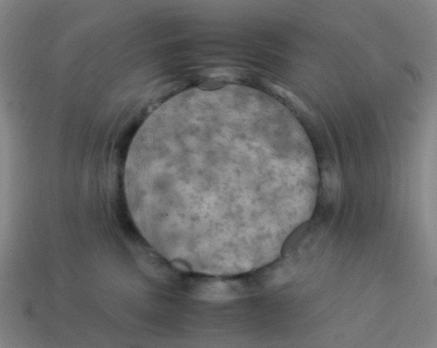 X0000113250379200910081324