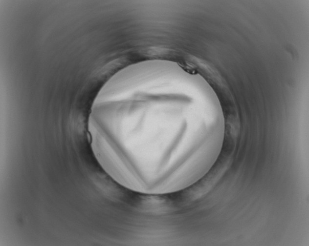 X0000113250380200910081324