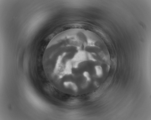 X0000113250381200910081324