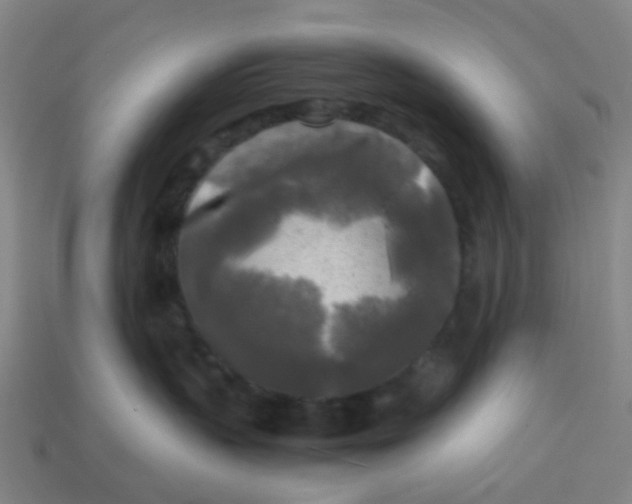 X0000113250383200910081324