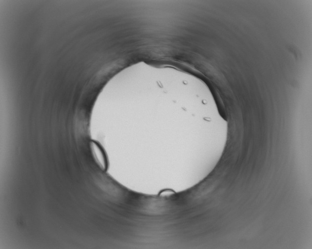 X0000113250384200910081324