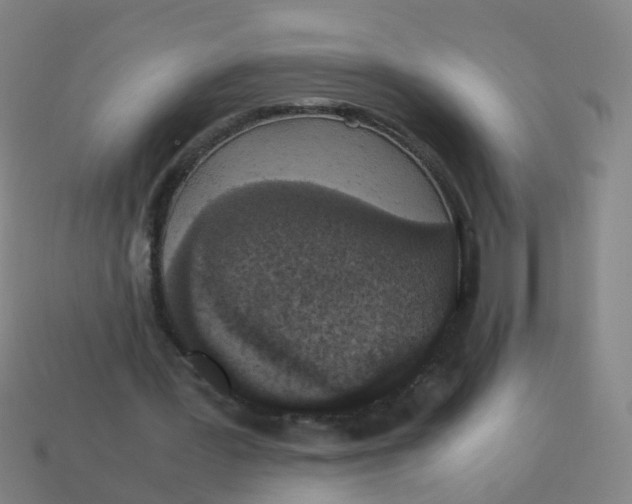 X0000113250387200910081323