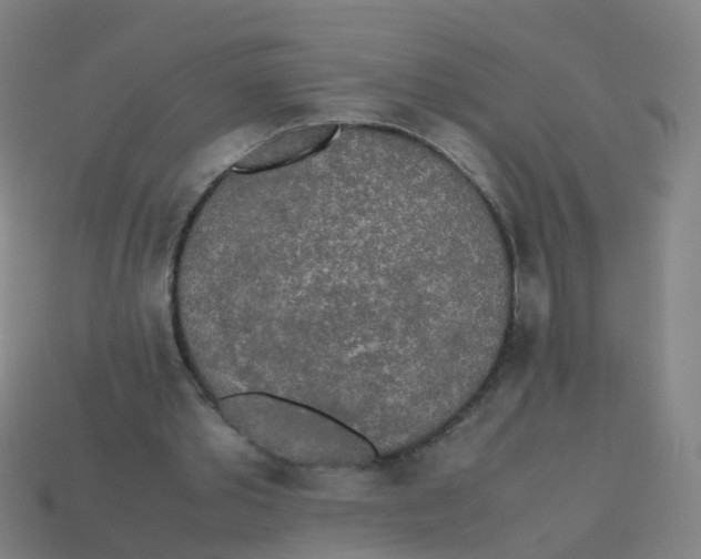 X0000113250389200910081323