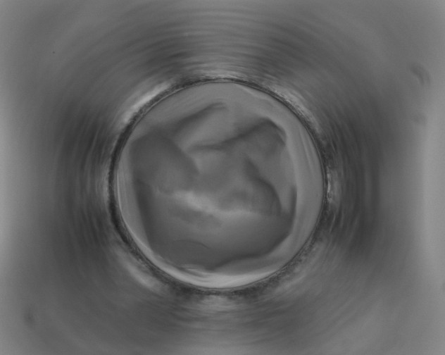 X0000113250390200910081323