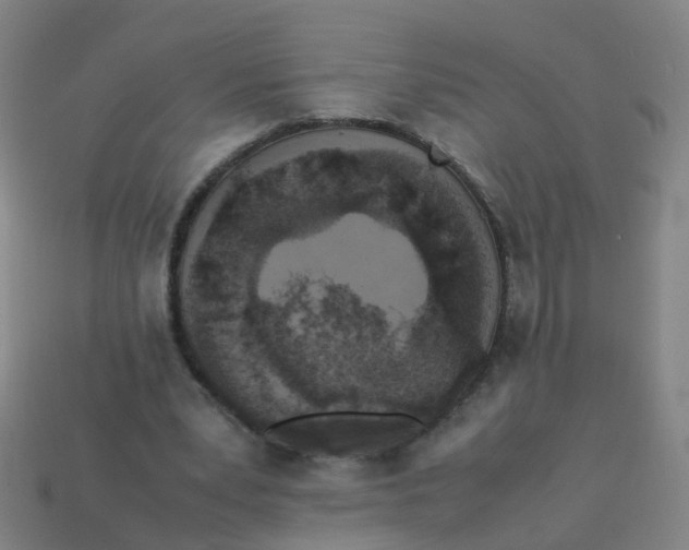 X0000113250391200910081323