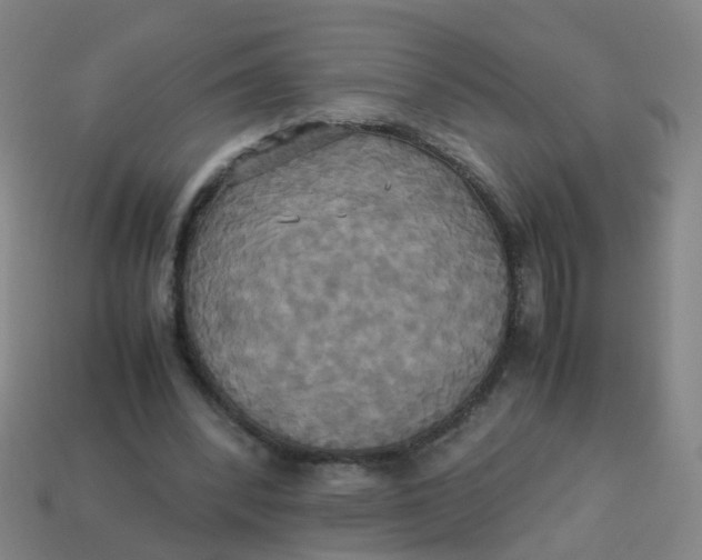 X0000113250392200910081323