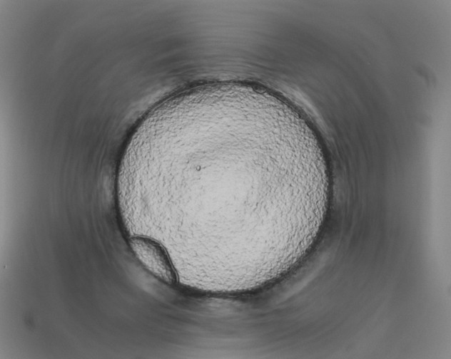 X0000113250393200910081323