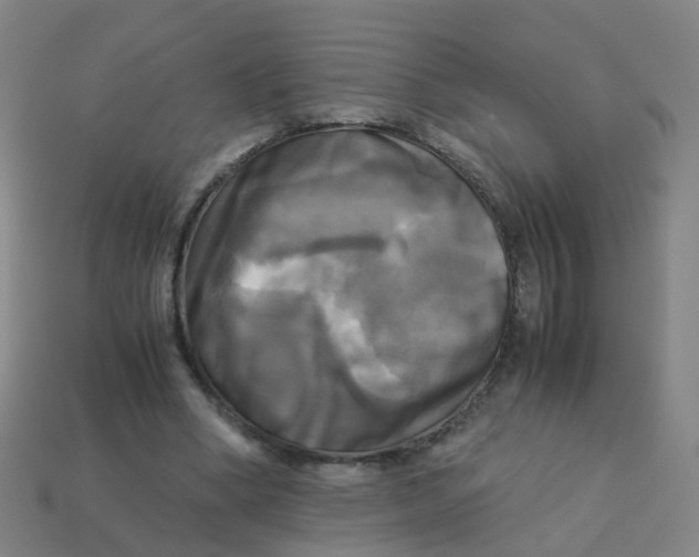 X0000113250394200910081323