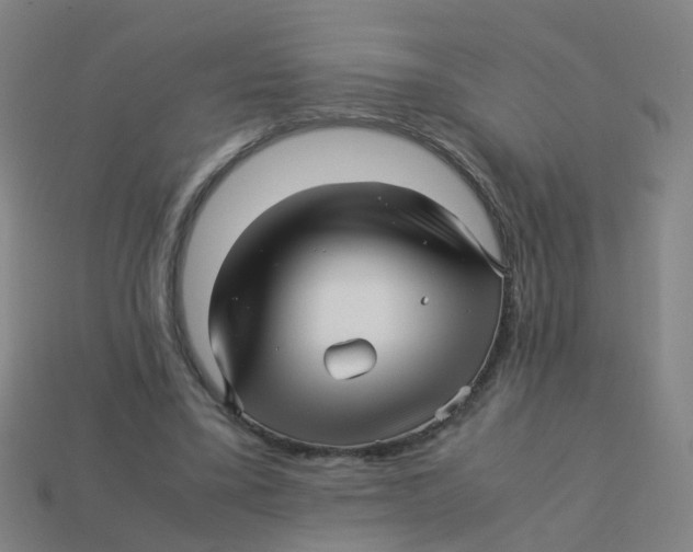 X0000113250395200910081323