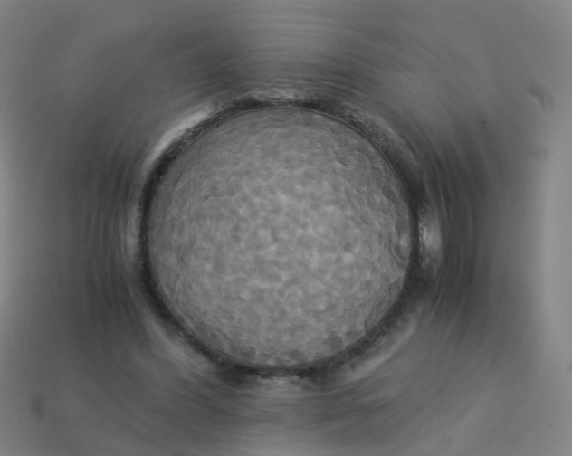 X0000113250396200910081323