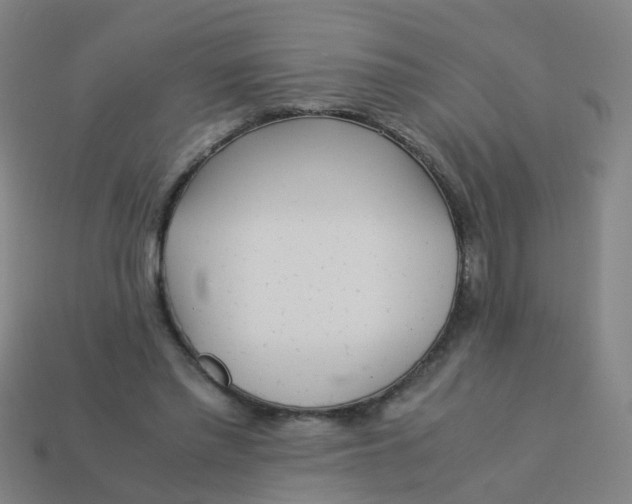 X0000113250397200910081323