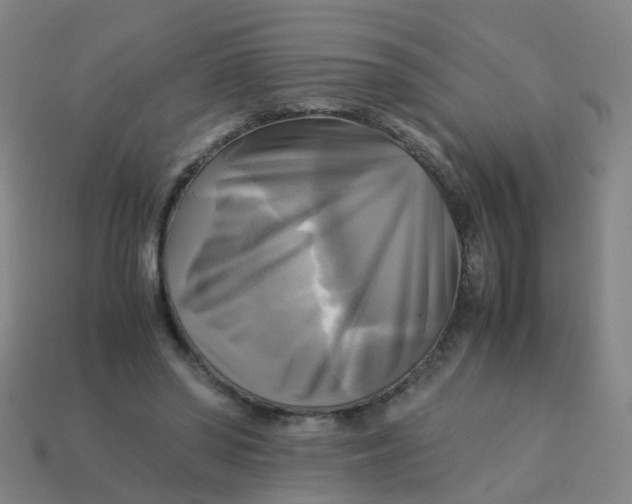 X0000113250398200910081323