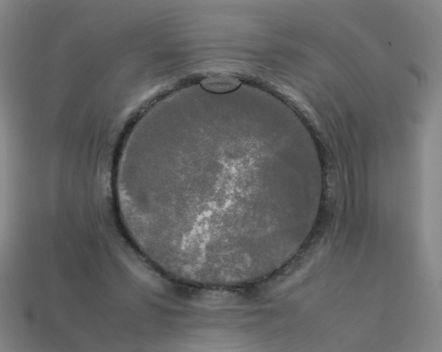 X0000113250399200910081323