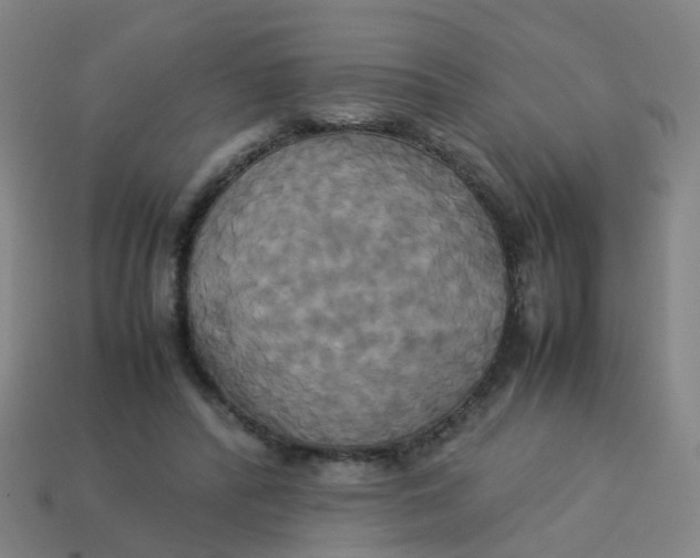 X0000113250400200910081323