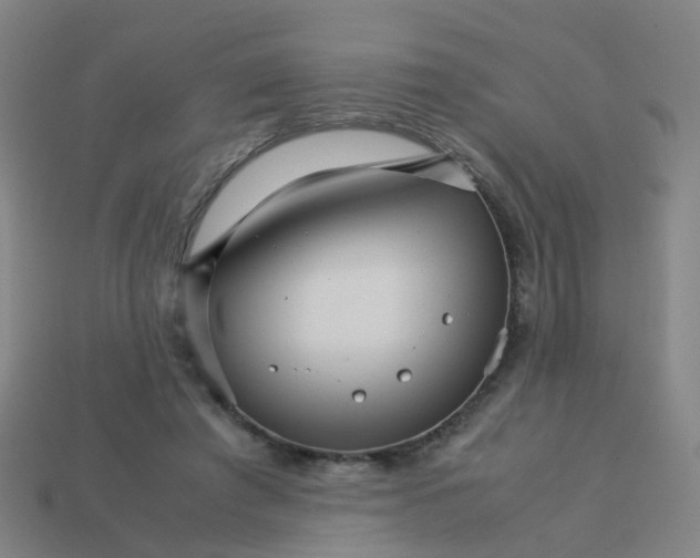 X0000113250401200910081323