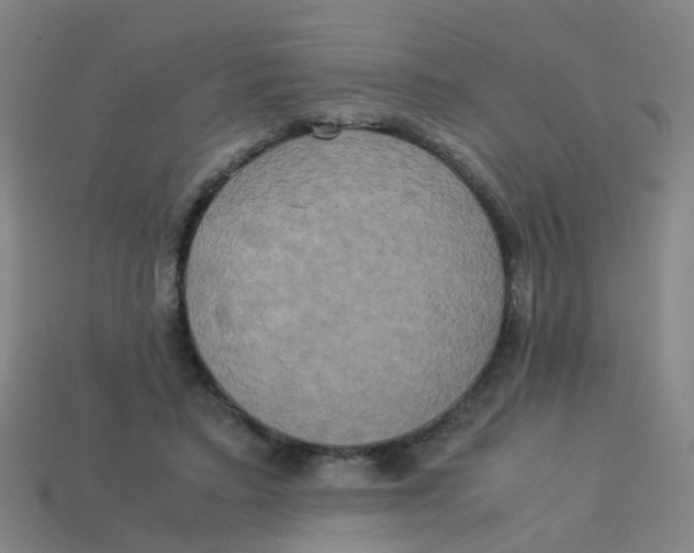 X0000113250403200910081323