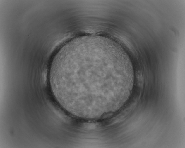 X0000113250404200910081323