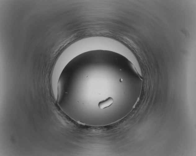 X0000113250405200910081323