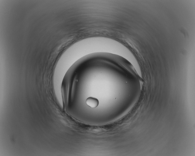 X0000113250407200910081323