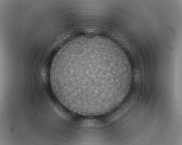 X0000113250408200910081323