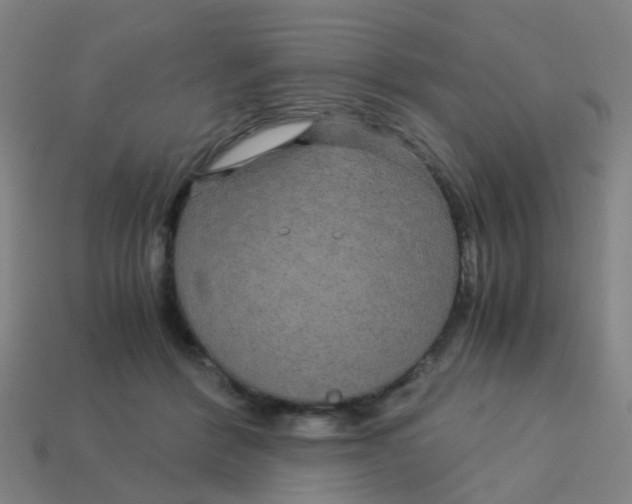 X0000113250412200910081323