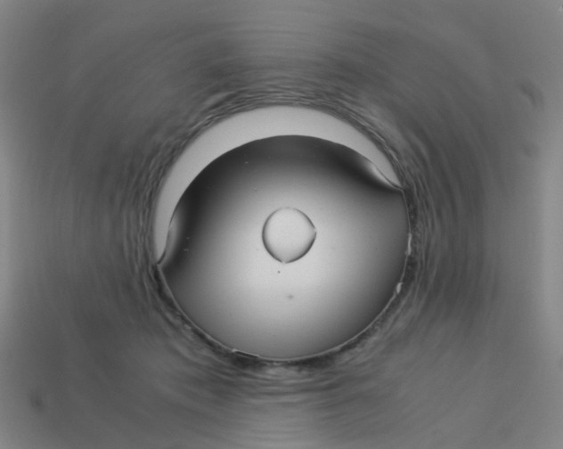 X0000113250413200910081323