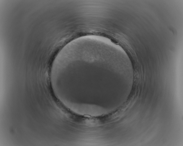 X0000113250415200910081323