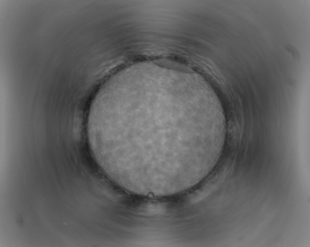 X0000113250416200910081323