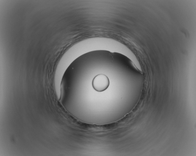 X0000113250417200910081323