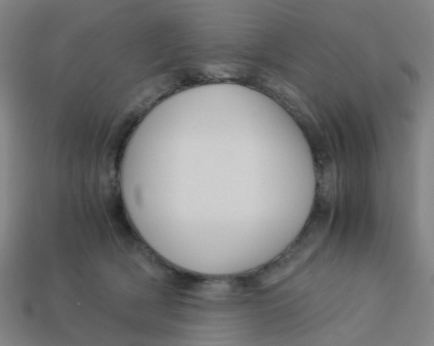 X0000113250418200910081323