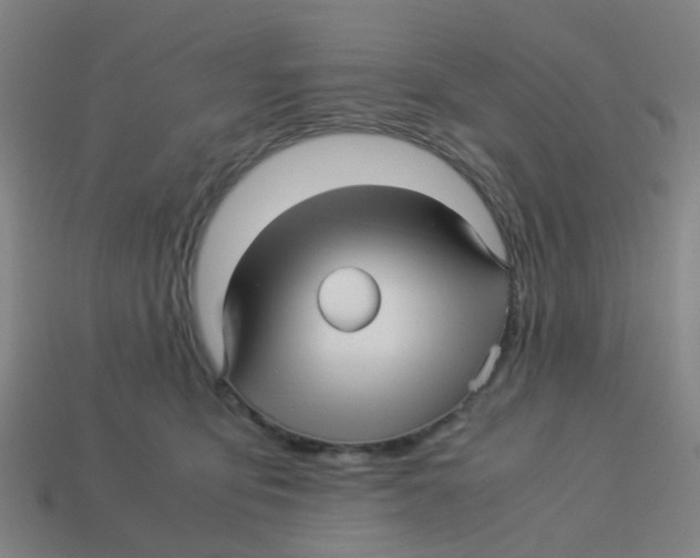 X0000113250419200910081323