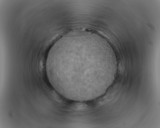 X0000113250424200910081323