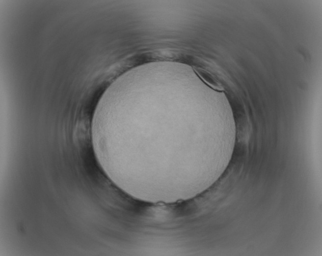 X0000113250425200910081322