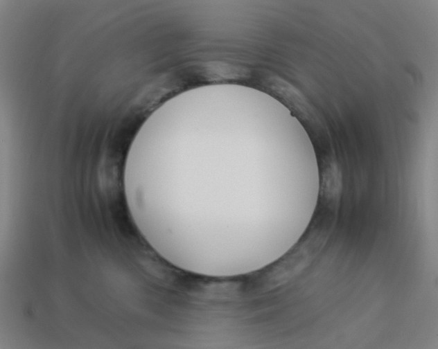 X0000113250426200910081322