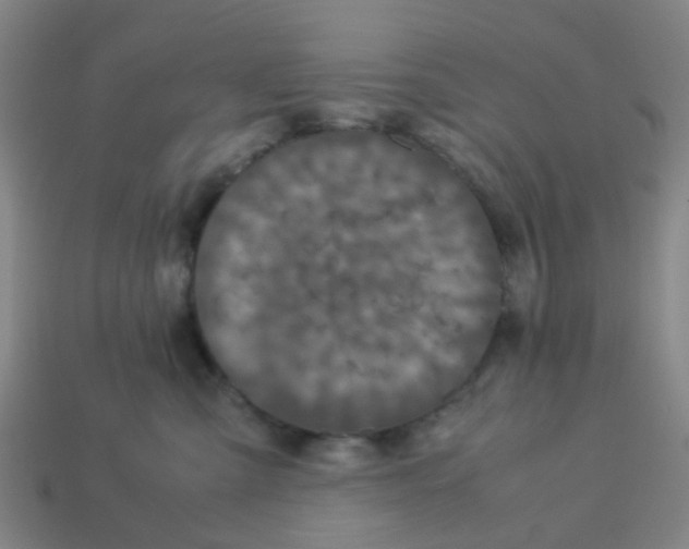 X0000113250427200910081322