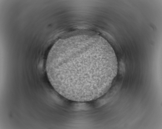 X0000113250428200910081322