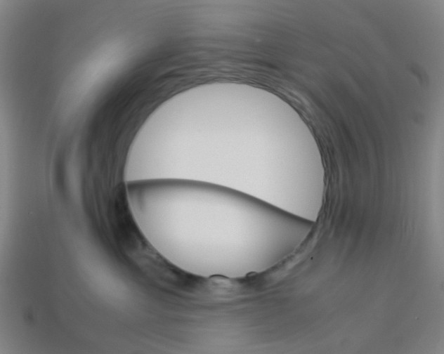 X0000113250429200910081322