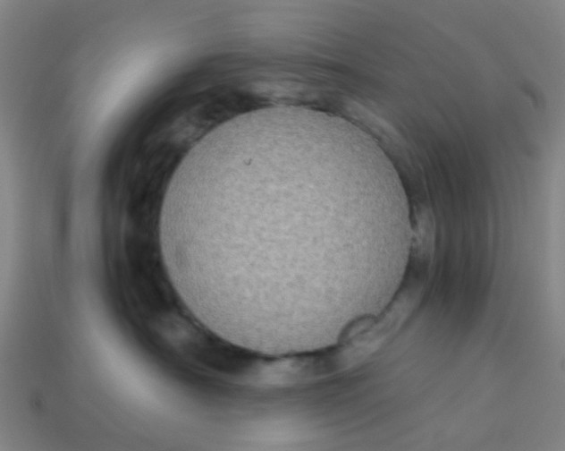 X0000113250430200910081322