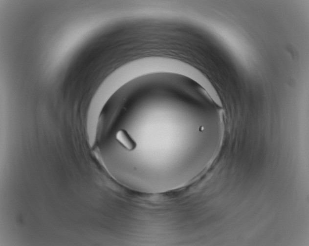 X0000113250431200910081322